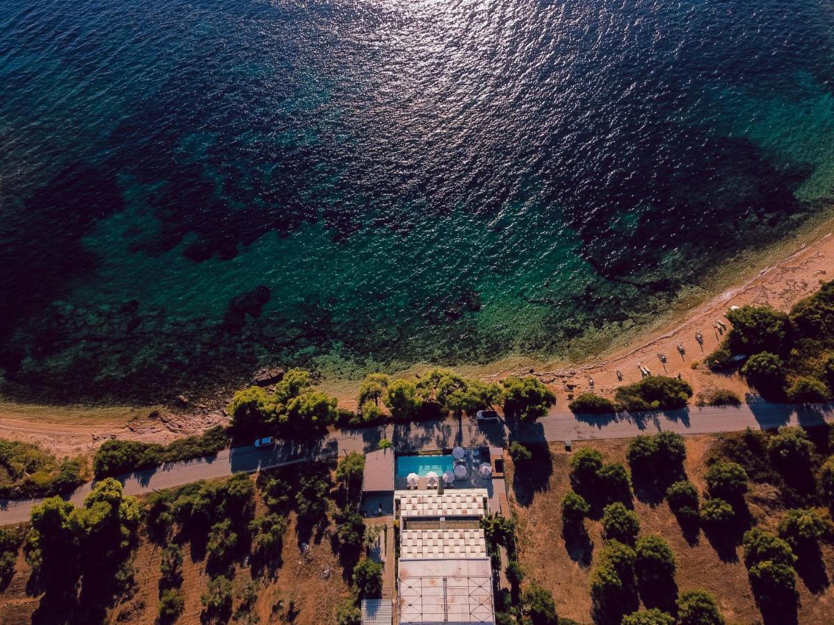 Hotel Casa Bloo Adults Only Elia Nikitis Zewnętrze zdjęcie
